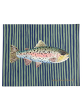 Trout No. 1 | 8x10