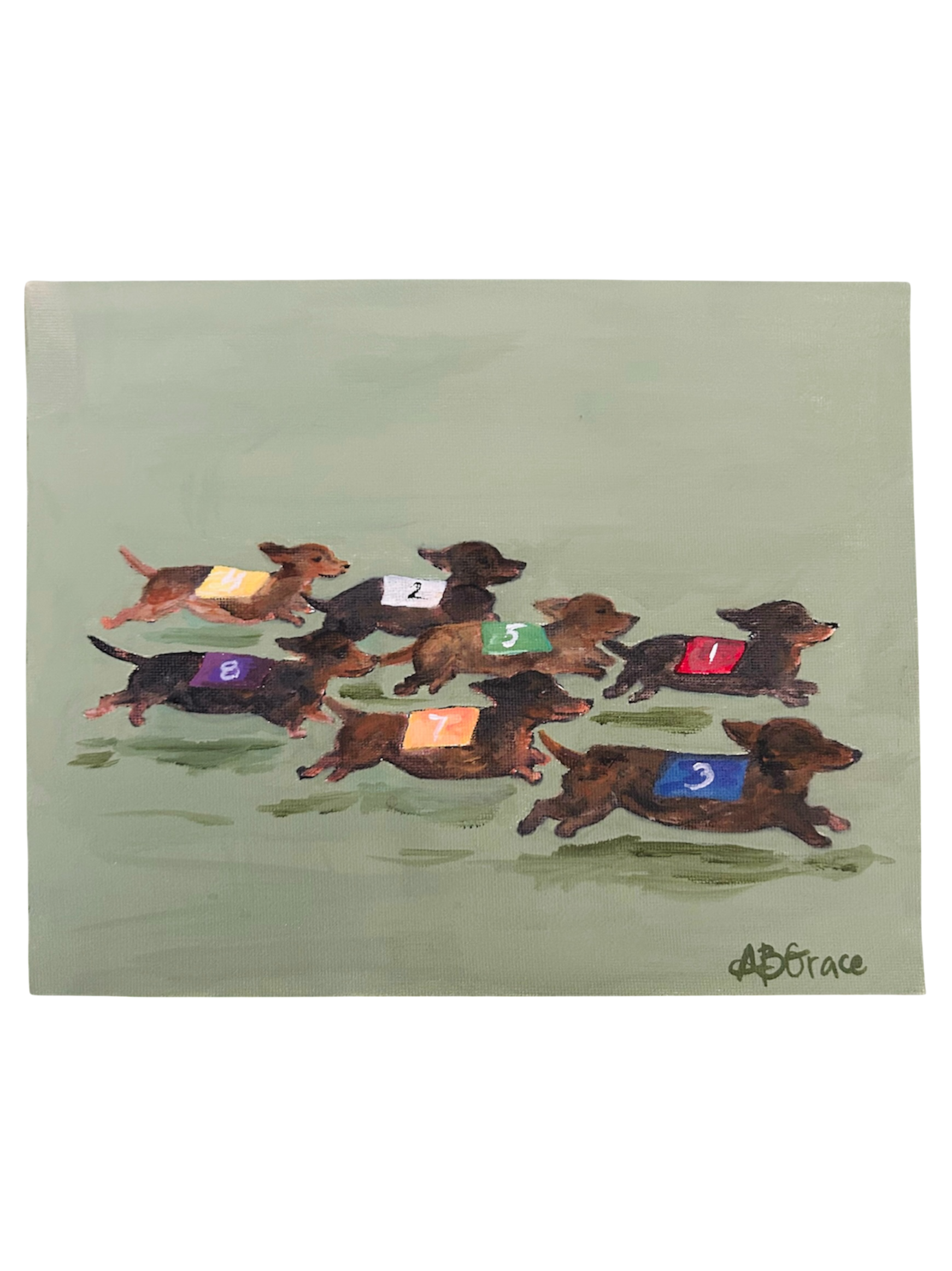 Dachshund Derby